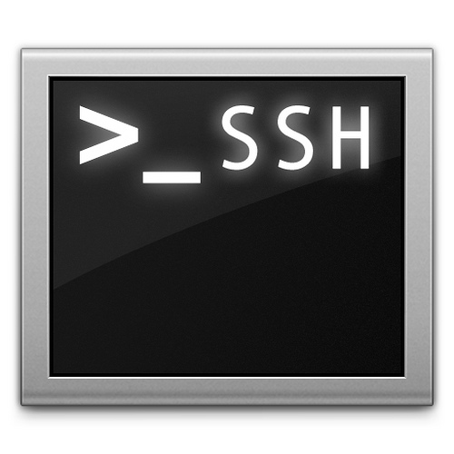 SSH terminal